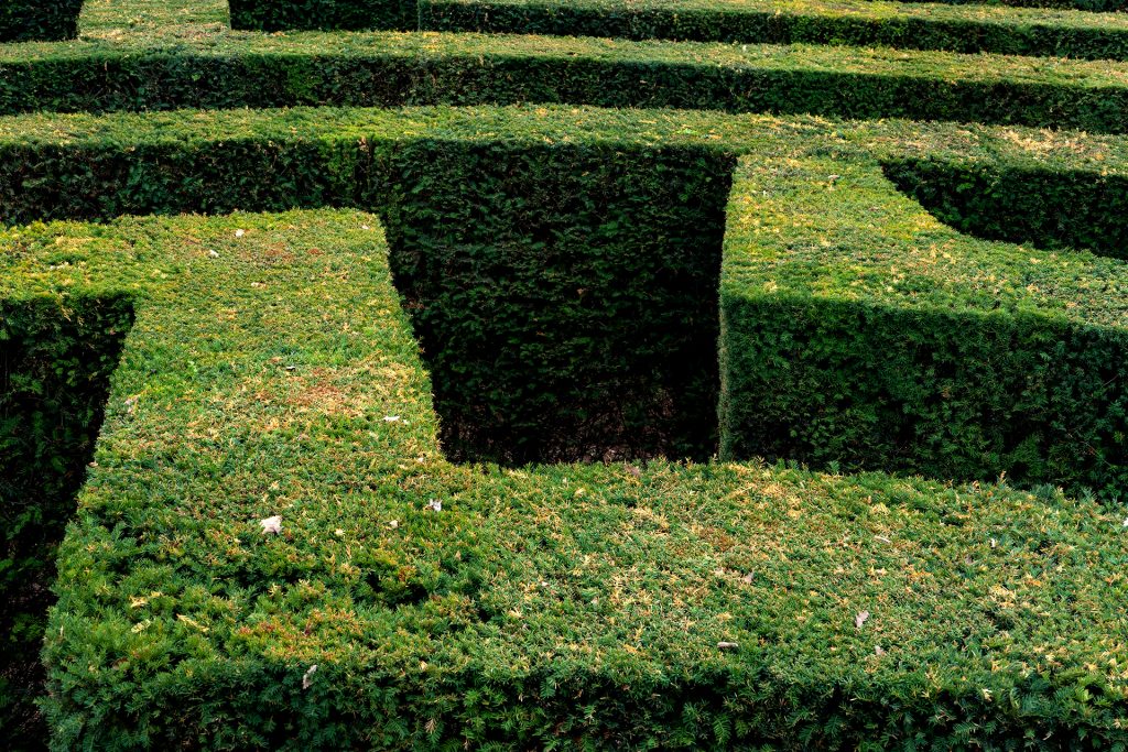 Labyrinth