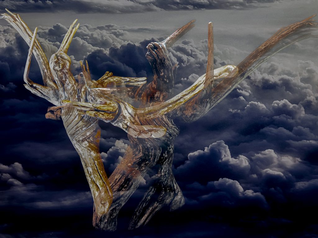 max.ox Tanz der Moosgeister