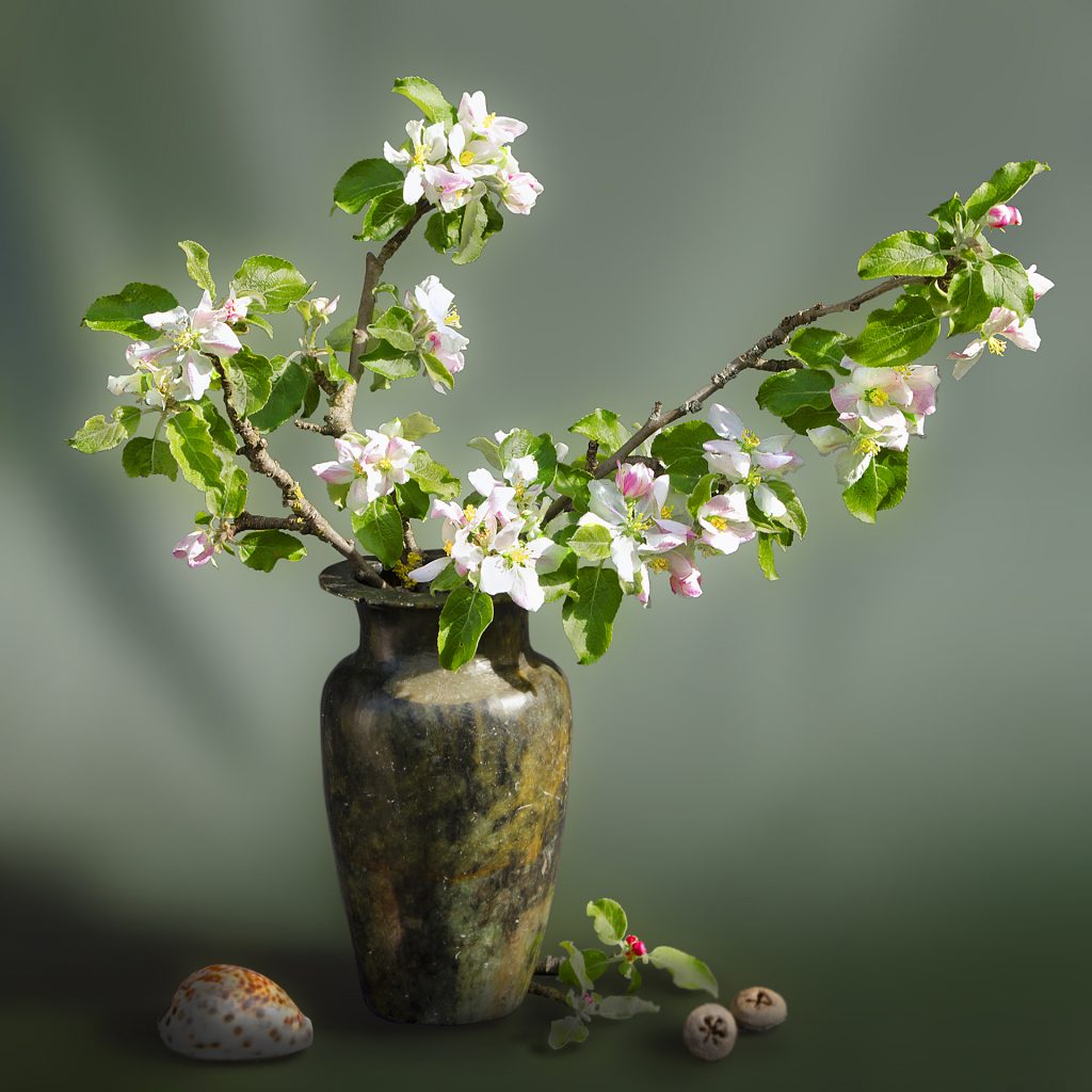 Walter - Apfelblütenstrauß