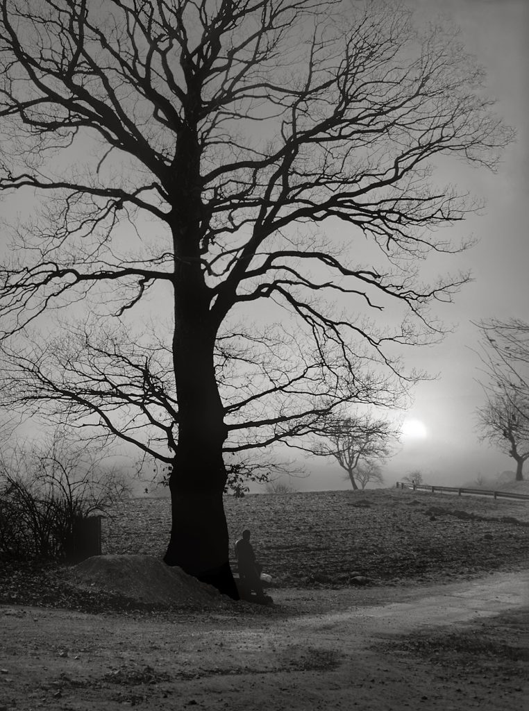 Walter - Sonnenaufgang bei Nebel