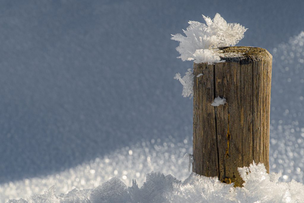 Eiskristalle auf Zaunpfahl