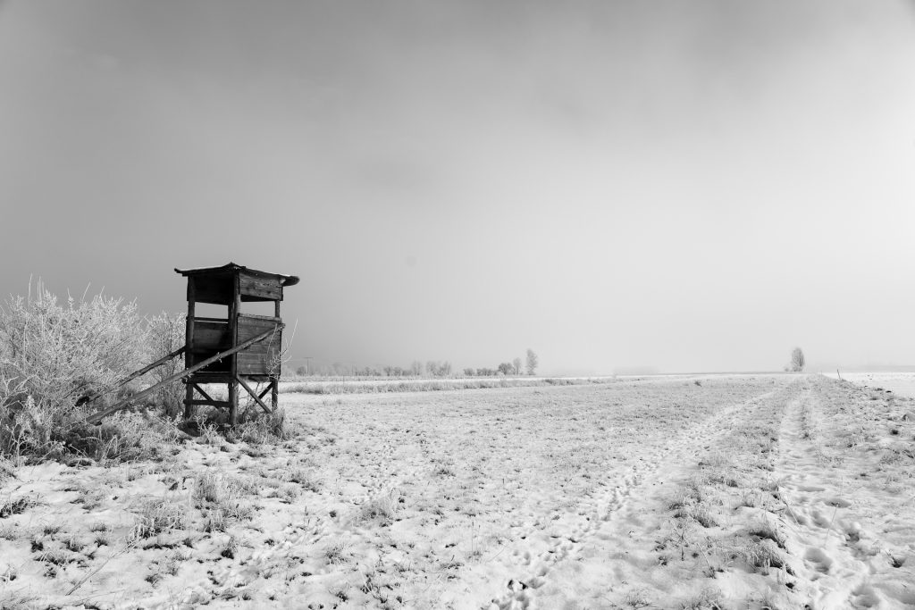 Nichts da zum Jagen