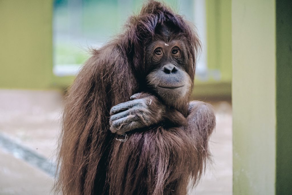 Ich muss zum Friseur