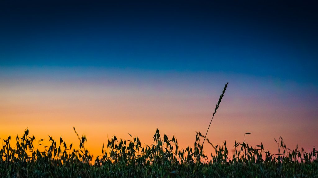 In der blauen Stunde während des Wartens