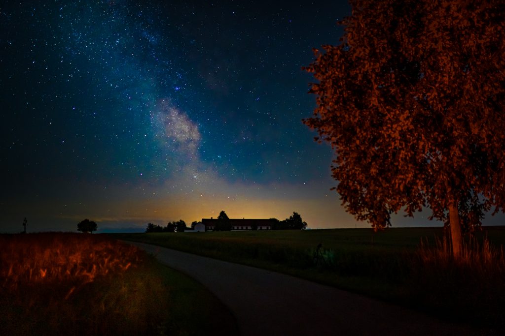 Mein letztes Foto