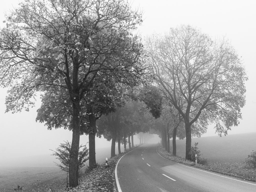 Nebel im Isental