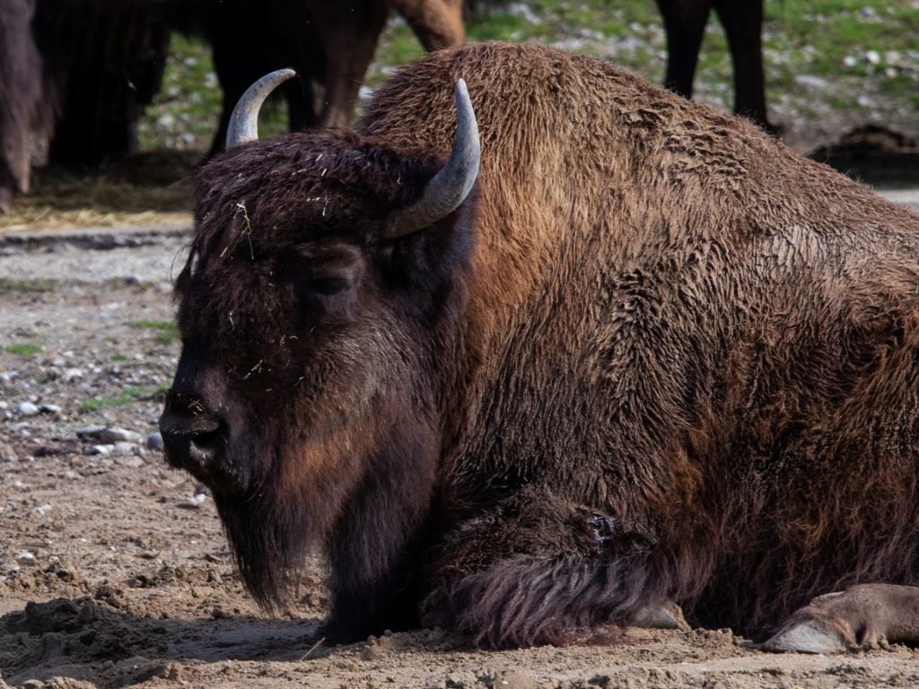 In der Ruhe liegt die Kraft