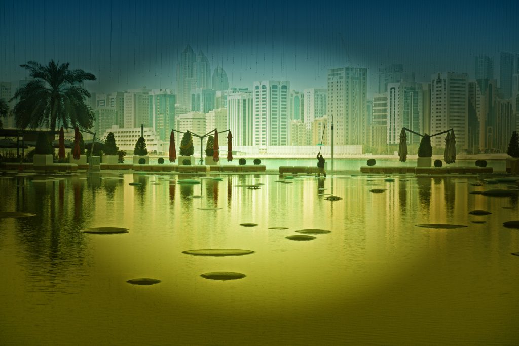 Dagmar Glasdurchblick