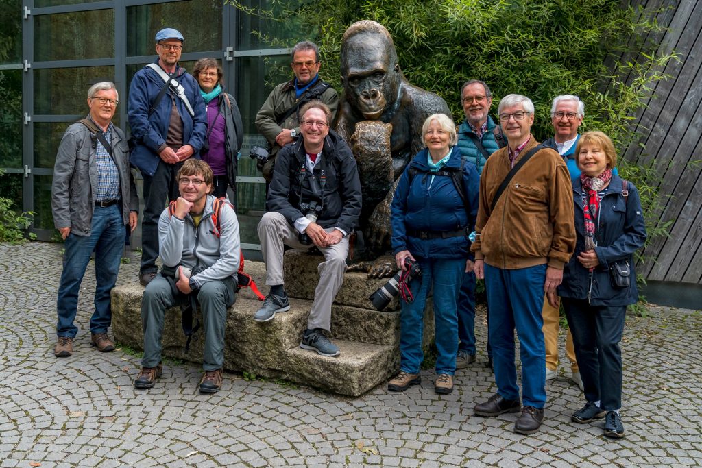 Viele, aber nicht alle