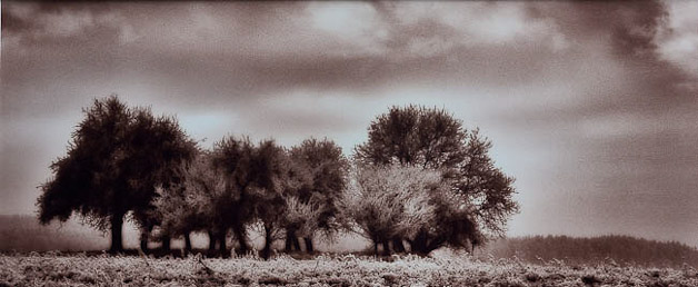 U05 Haas Herbert - Landscape