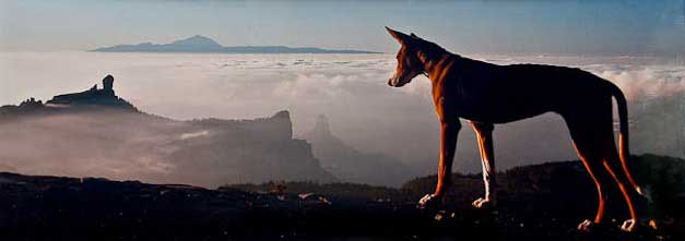 U18 Wildner Wolfram - Überb-Blick