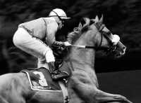August: Walter Schneider, Galopp