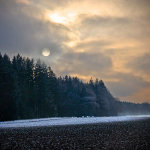 Januar: Walter Schneider, Nachfrost