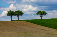 04-ak-img_5271_0