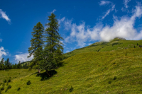 09-ak-img_6021