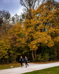 04-2018-10-26-muenchen-nymphenburg-013-09-50-a7r2_dsc2542