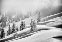 Februar: Monika Rinas - Januarschnee