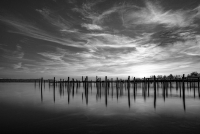 Februar: Fritz Kramer - Wasserstecken