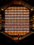 November: Andreas Spachtholz - Bücher über Bücher