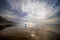 Mai: Andreas Spachtholz - Surfing USA