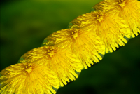 image03