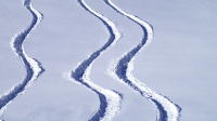 image04