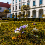 augsburg-18-2016-03-19-031-15-36-n7_dsc3422-bearbeitet