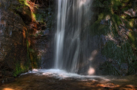 image11