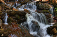 image12