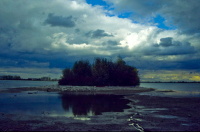 image15