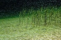 image23