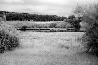 image29