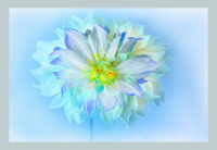em-blumen-0002_bearbeitet-2