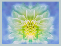 em-blumen-05_bearbeitet-1