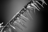 fk-sw-5-fk-1-2016-12-31-macro-winterlandschaft_0013-bearbeitet