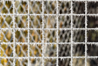 fk-sw-7-fk-3-2016-12-31-macro-winterlandschaft_0032