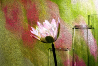 image04