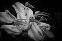 image01
