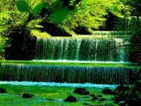 image04