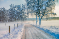 Januar: Guenther Keil - Winterlicher Weg ins Moos