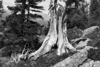 image04