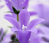 image01