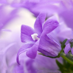 image02