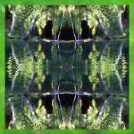 IMAGE02