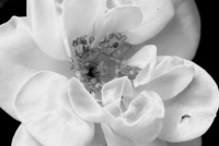 image01
