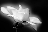image03
