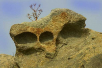 IMAGE03