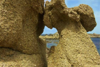 IMAGE04