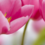 image01