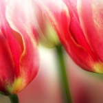 image02